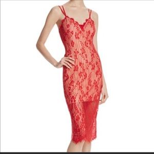 Keepsake Love Affair Lace Dress